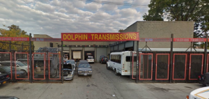Dolphin Transmissions