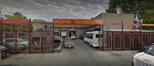 Dolphin Transmissions